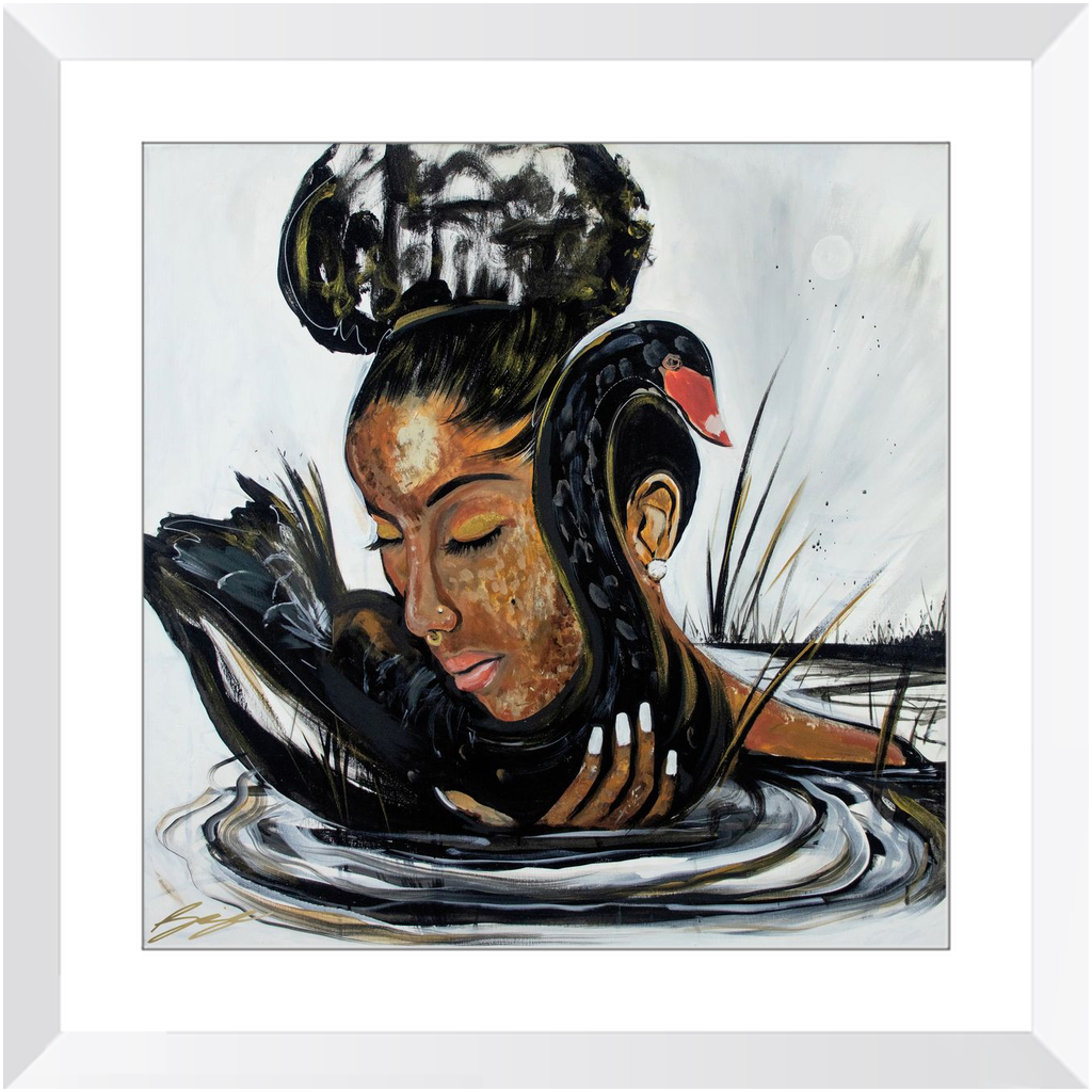 Black Swan | Framed Paper Prints